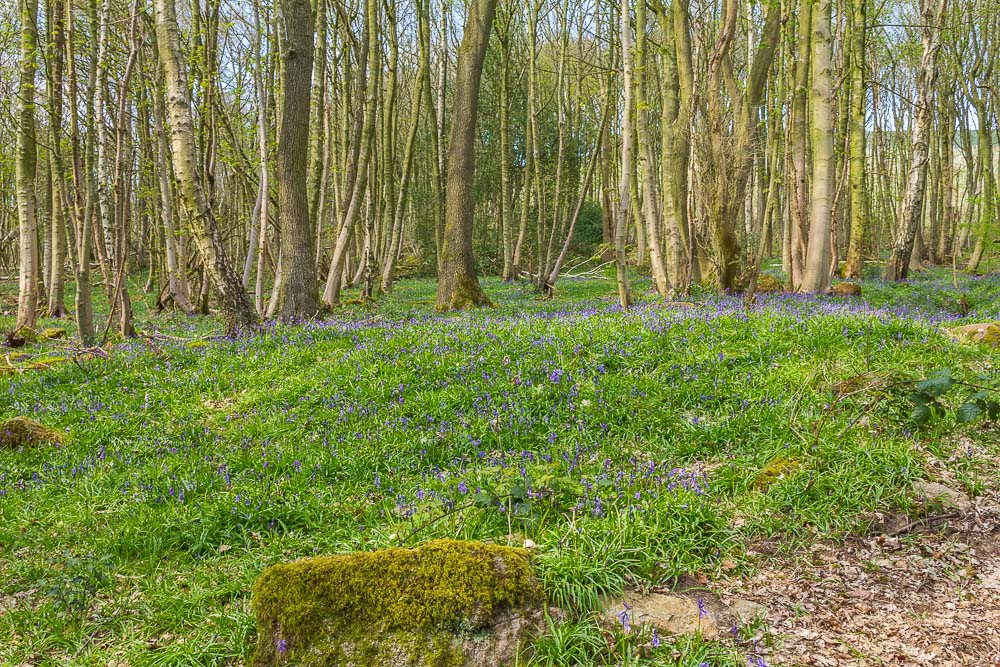 Crich Chase Crich Chase